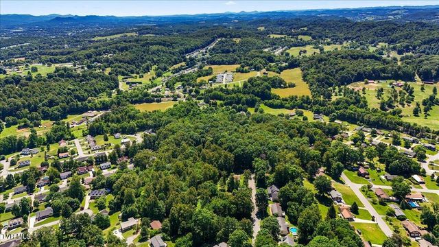 303 Clifftop Court, Mount Carmel, TN 37645