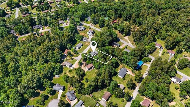303 Clifftop Court, Mount Carmel, TN 37645