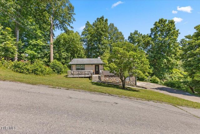 303 Clifftop Court, Mount Carmel, TN 37645