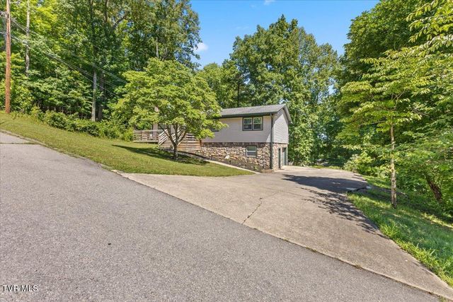303 Clifftop Court, Mount Carmel, TN 37645