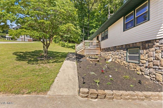 303 Clifftop Court, Mount Carmel, TN 37645