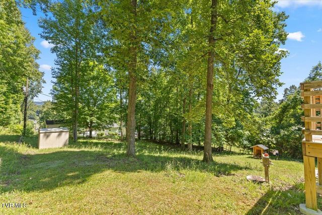 303 Clifftop Court, Mount Carmel, TN 37645