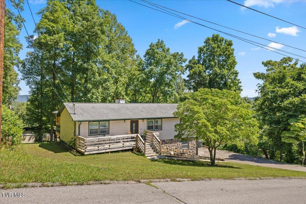 303 Clifftop Court, Mount Carmel, TN 37645