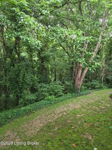 59 Lake Ave, Louisville, KY 40206