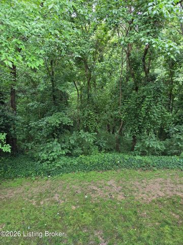 59 Lake Ave, Louisville, KY 40206