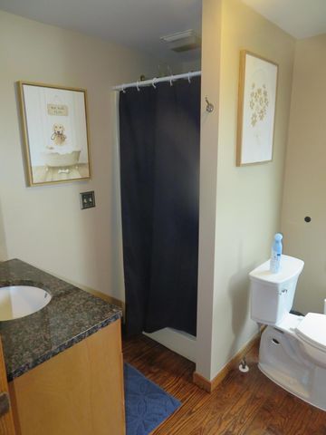 12004 Elmdale Drive, Manchester, MI 48158