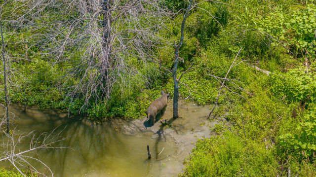 TBD Cr 3320 End, Pecan Gap, TX 75469