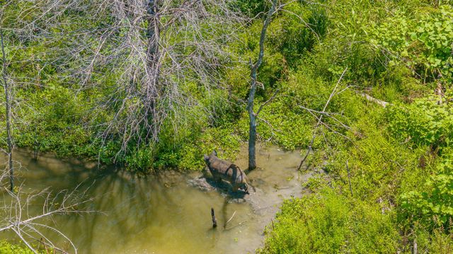 TBD Cr 3320 End, Pecan Gap, TX 75469