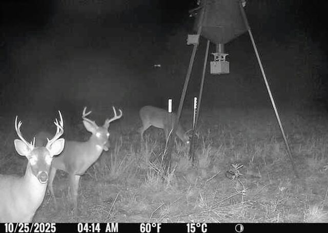 TBD Cr 3320 End, Pecan Gap, TX 75469