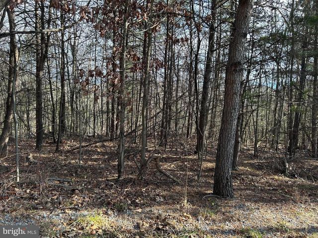 LOT U TWIN OAKS DRIVE, Bentonville, VA 22610