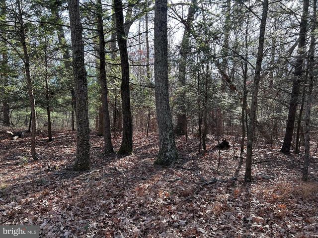 LOT U TWIN OAKS DRIVE, Bentonville, VA 22610