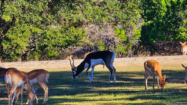 LOT 55 BROWN SADDLE, Bandera, TX 78003