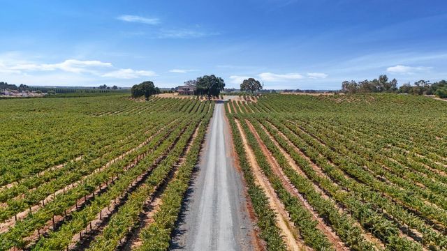 18739 Clements Rd, Lodi, CA 95240