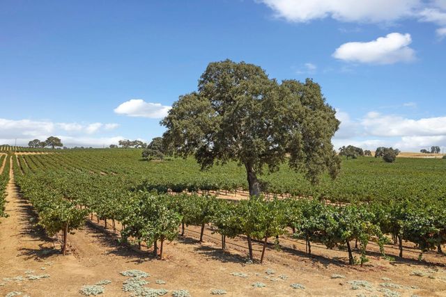 18739 Clements Rd, Lodi, CA 95240