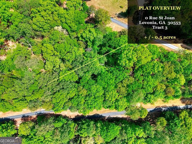 0 Rue St Joan, Lavonia, GA 30553