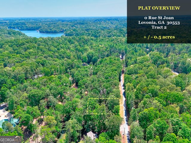 0 Rue St Joan, Lavonia, GA 30553