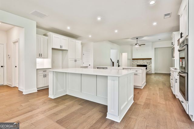 766 Wisteria Lane 55, Williamson, GA 30292