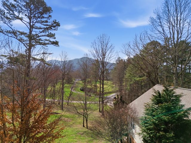 3015 Bear Lane, Hiawassee, GA 30546