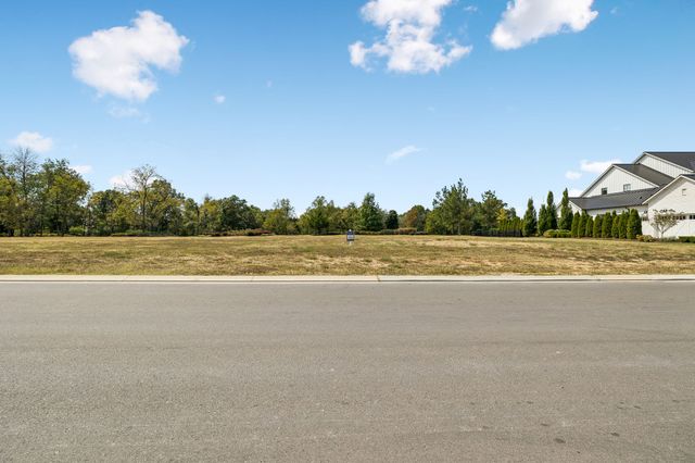 8017 Backwoods Pvt Dr, College Grove, TN 37046