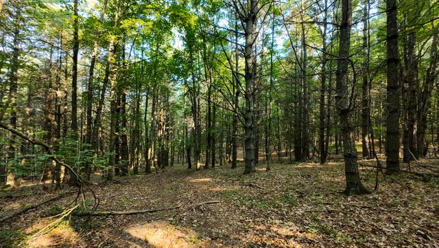 Tract 1 Merifield RD, Willis, VA 24380