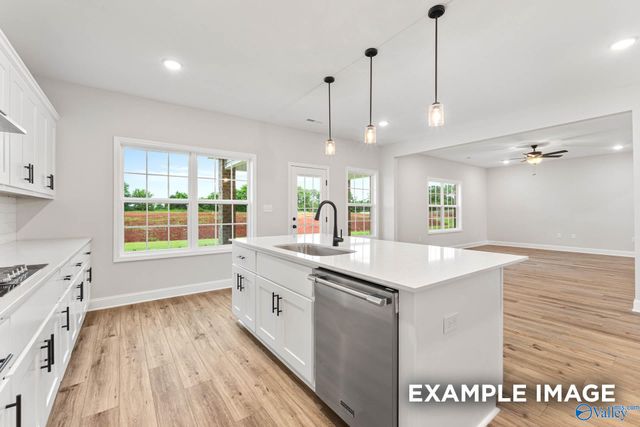 306 Pone Street, Toney, AL 35773