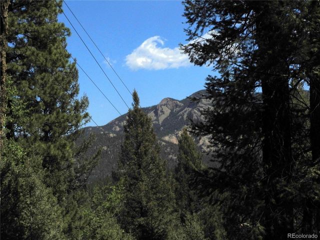 12907 S Cindy Ave, Pine, CO 80470