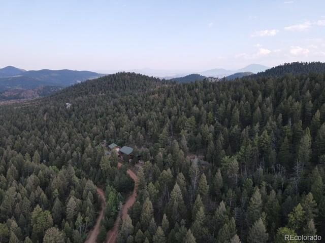 12907 S Cindy Ave, Pine, CO 80470