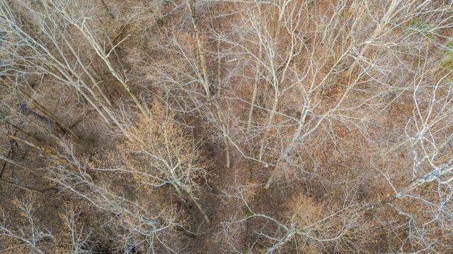 745 UNION RIDGE ROAD, Wartrace, TN 37183