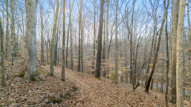 745 UNION RIDGE ROAD, Wartrace, TN 37183