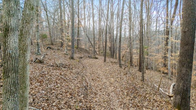 745 UNION RIDGE ROAD, Wartrace, TN 37183