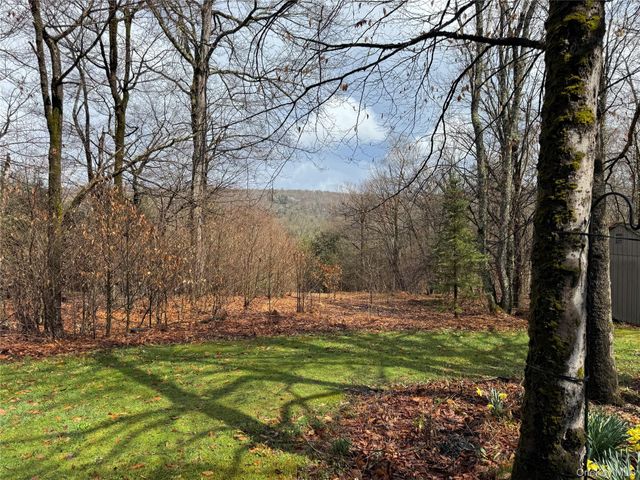 41 Maple Lane, Livingston Manor, NY 12758