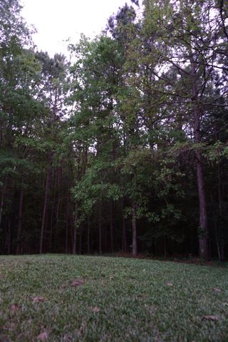 140 Winky Ln., Diana, TX 75640