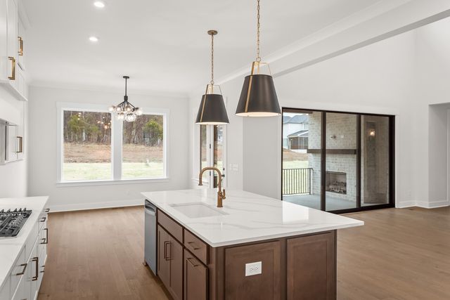 7280 Ruzek Court, Fairview, TN 37062