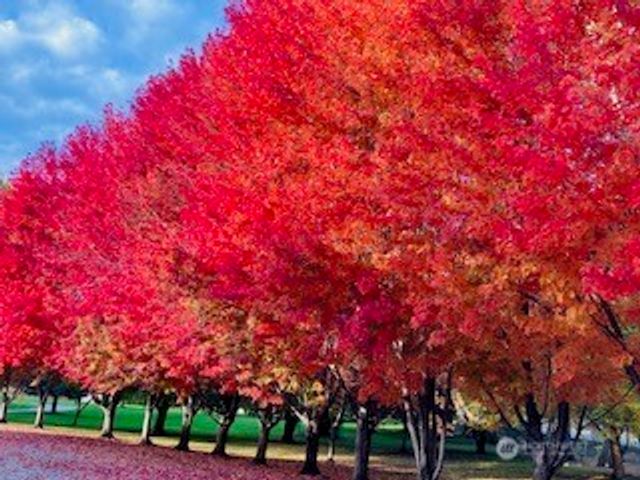 2720 NW Cascade Avenue, East Wenatchee, WA 98802