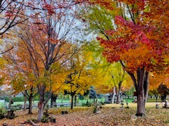 2720 NW Cascade Avenue, East Wenatchee, WA 98802