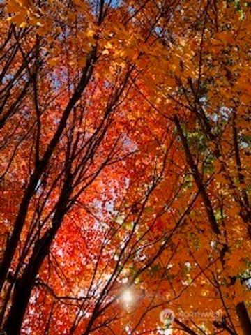 2720 NW Cascade Avenue, East Wenatchee, WA 98802