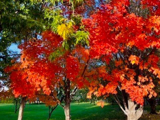 2720 NW Cascade Avenue, East Wenatchee, WA 98802