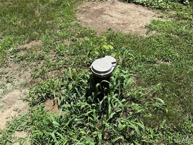 252 Old Williamsburg Road, Montgomery City, MO 63361