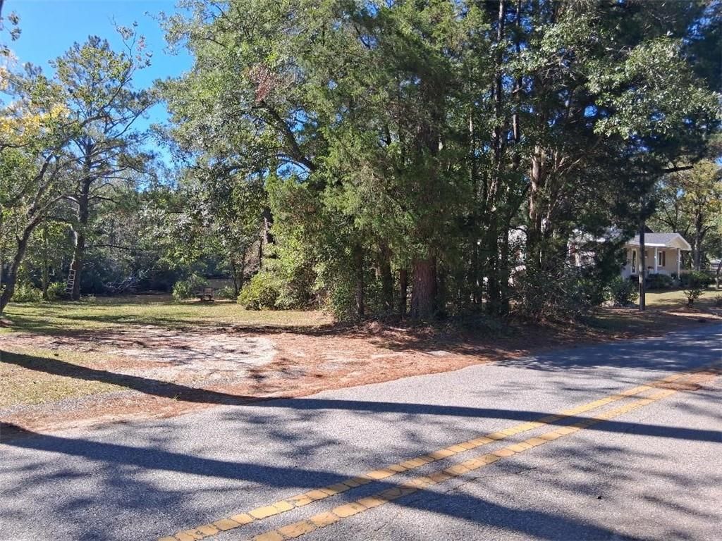 0 Bayou Sara Avenue, Saraland, AL 36571 — photo 2