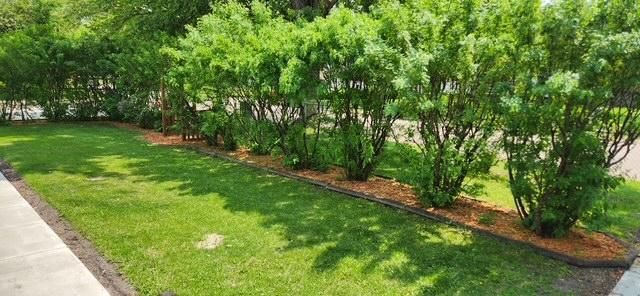 1019 Ash Street, Alexandria, MN 56308