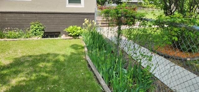 1019 Ash Street, Alexandria, MN 56308