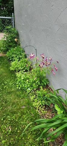 1019 Ash Street, Alexandria, MN 56308