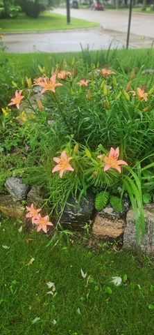 1019 Ash Street, Alexandria, MN 56308