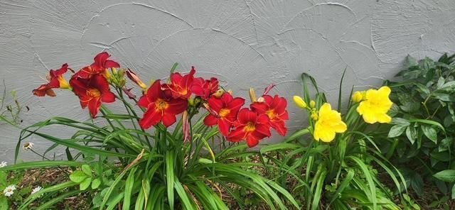 1019 Ash Street, Alexandria, MN 56308