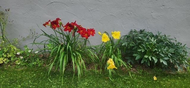 1019 Ash Street, Alexandria, MN 56308