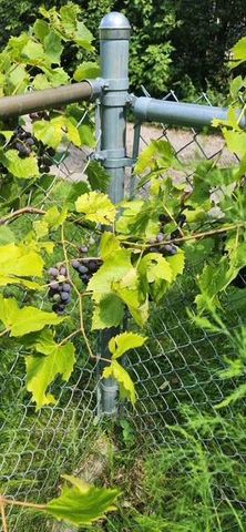 1019 Ash Street, Alexandria, MN 56308