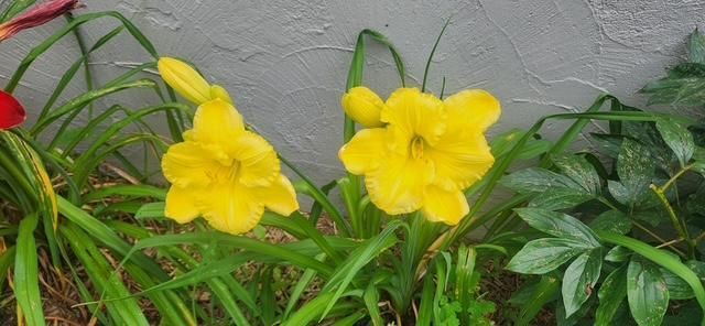 1019 Ash Street, Alexandria, MN 56308