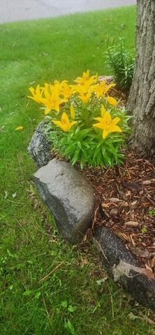 1019 Ash Street, Alexandria, MN 56308