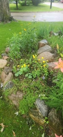 1019 Ash Street, Alexandria, MN 56308