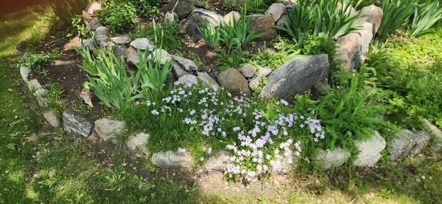 1019 Ash Street, Alexandria, MN 56308